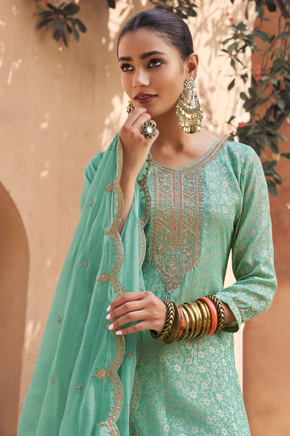 Back view of sky blue embroidered salwar suit