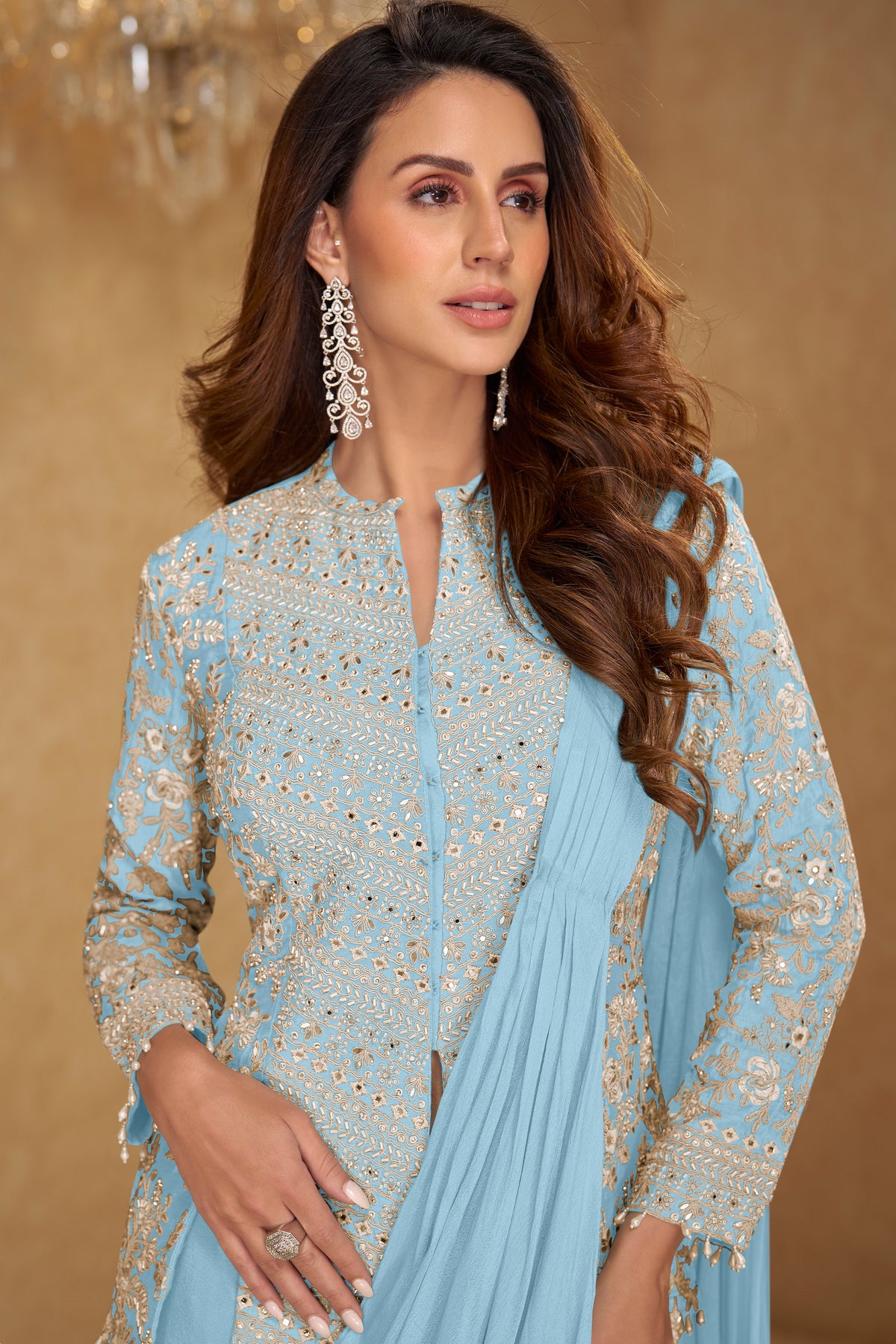 Pansh heavy embroidery worked saree
