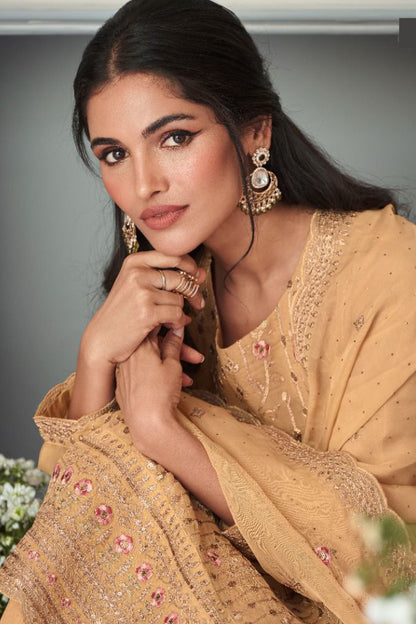 Embroidered salwar kameez in organza silk fabric