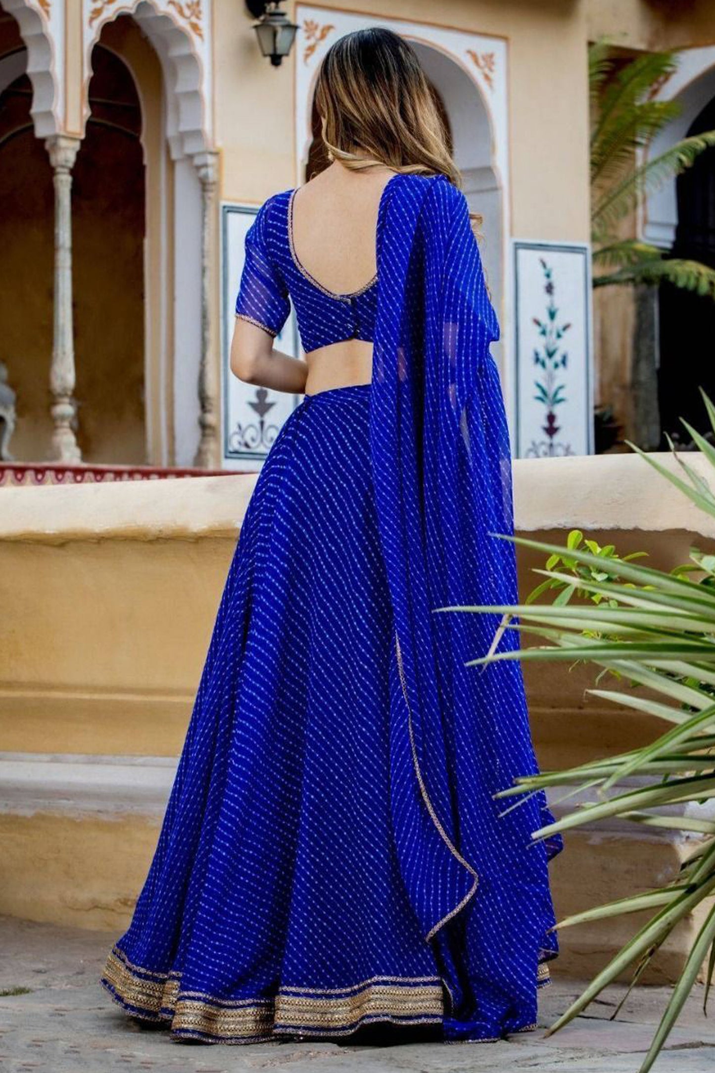 Blue lehenga choli back view silhouette