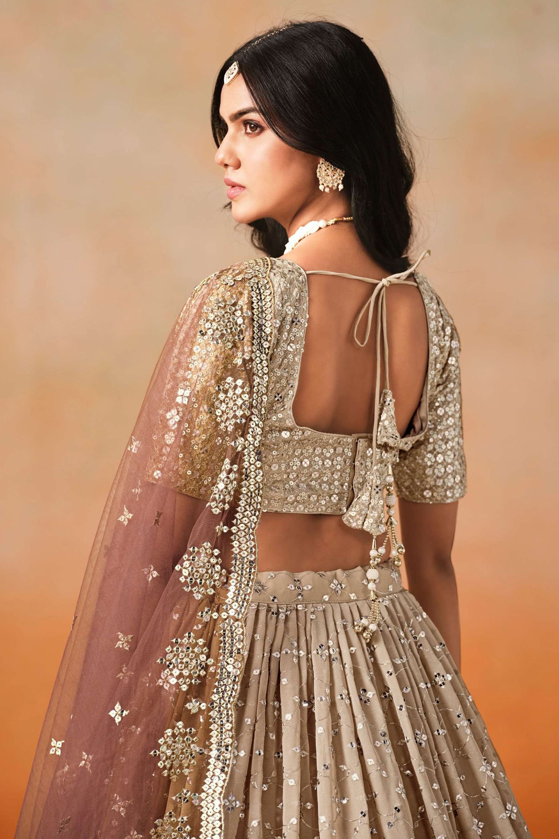 lehenga choli back view with embroidery and sequins work