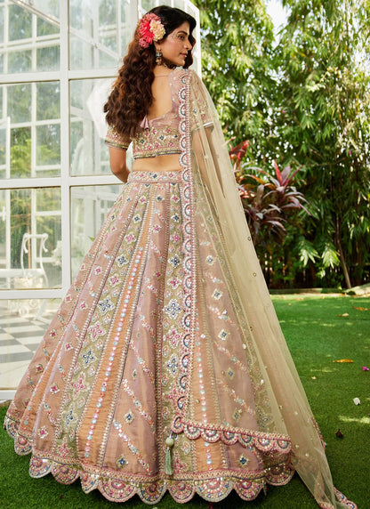 net fabric lehenga choli with heavy embroidery detailing