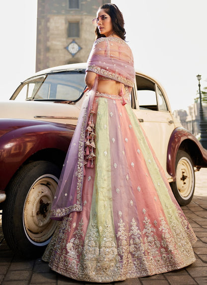 – Sequins work detail on tissue fabric lehenga
