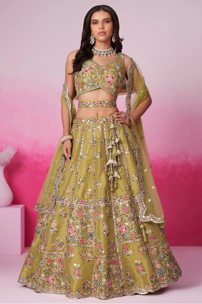 Olive lehenga choli full set front view with embroidery