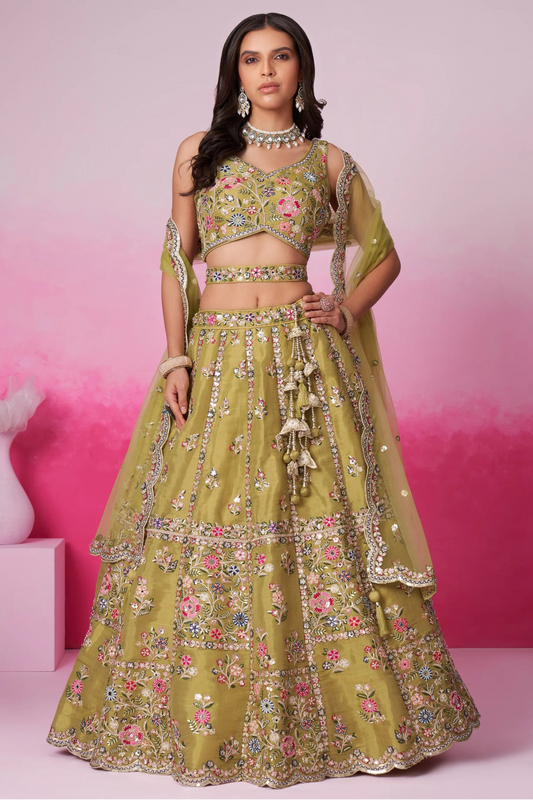Olive lehenga choli full set front view with embroidery
