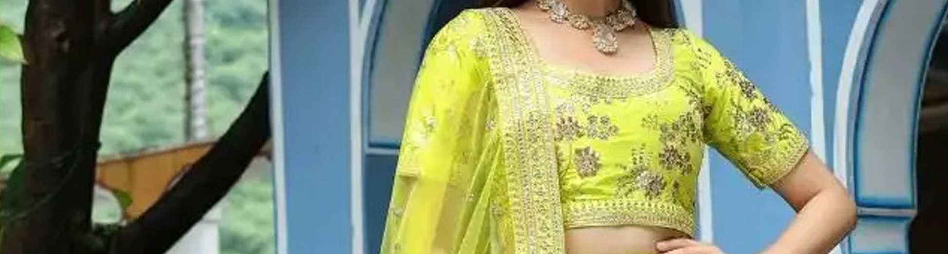 Silk net organza georgette lehenga with embroidery detailing