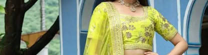 Silk net organza georgette lehenga with embroidery detailing