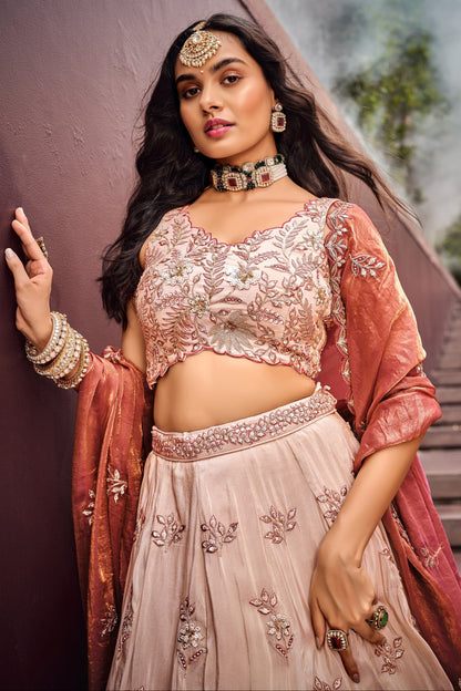 Embroidered choli blouse detail in Peach Beige tone