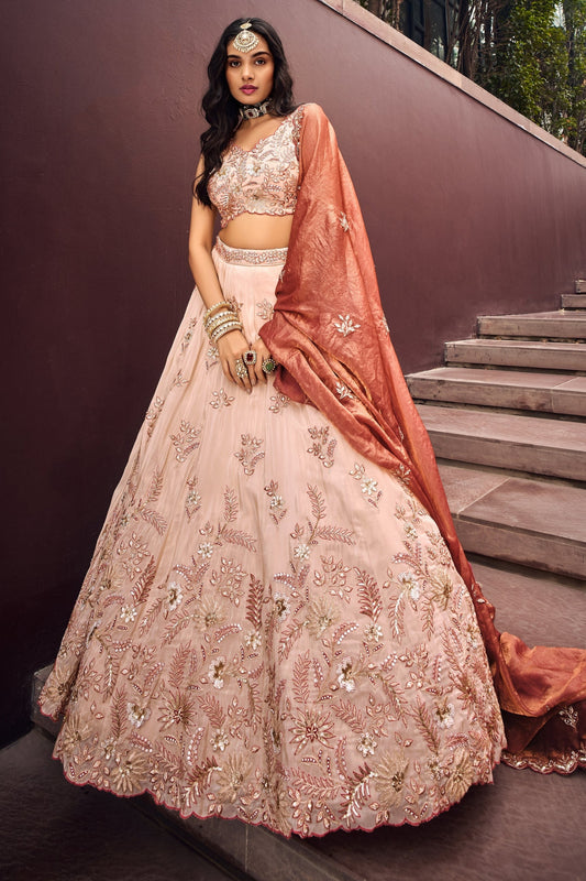 Peach Beige lehenga choli full front view with embroidered detailing