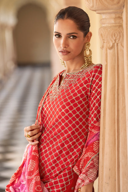 Red sharara suit kameez embroidery detail close-up