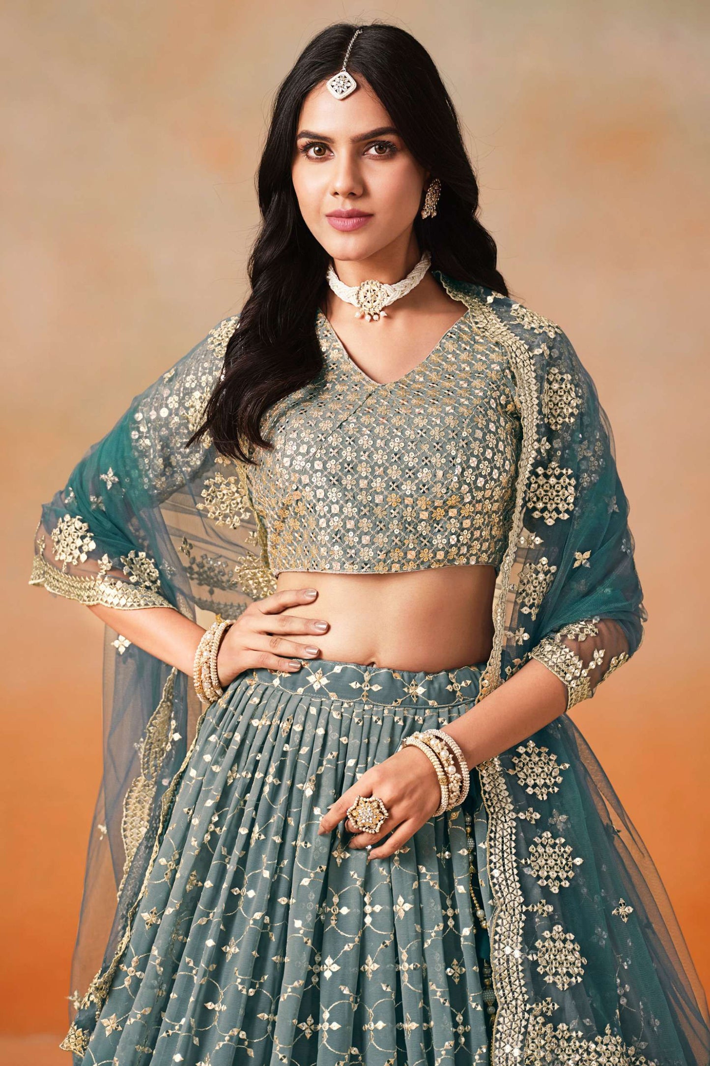 Close-up of georgette fabric with intricate zari work detailing