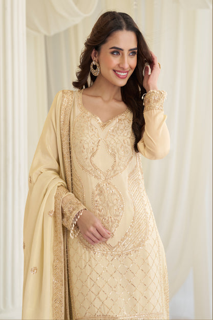 Beige salwar kameez neckline detail view