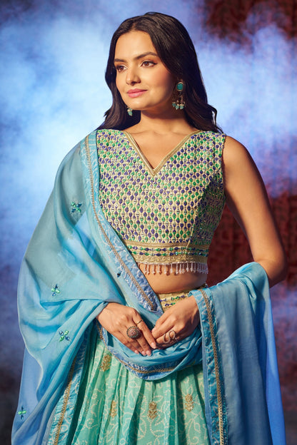 Close-up of digital print on sky blue organza lehenga