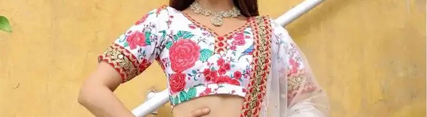 Embroidered lehengha choli with reflective zari accents