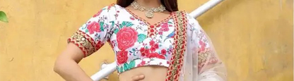 Embroidered lehengha choli with reflective zari accents